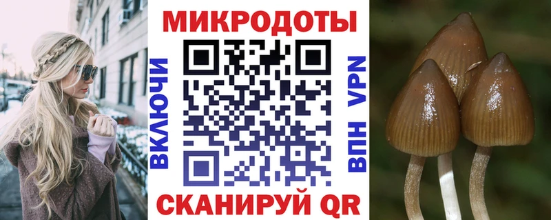 Псилоцибиновые грибы Psilocybine cubensis Туринск